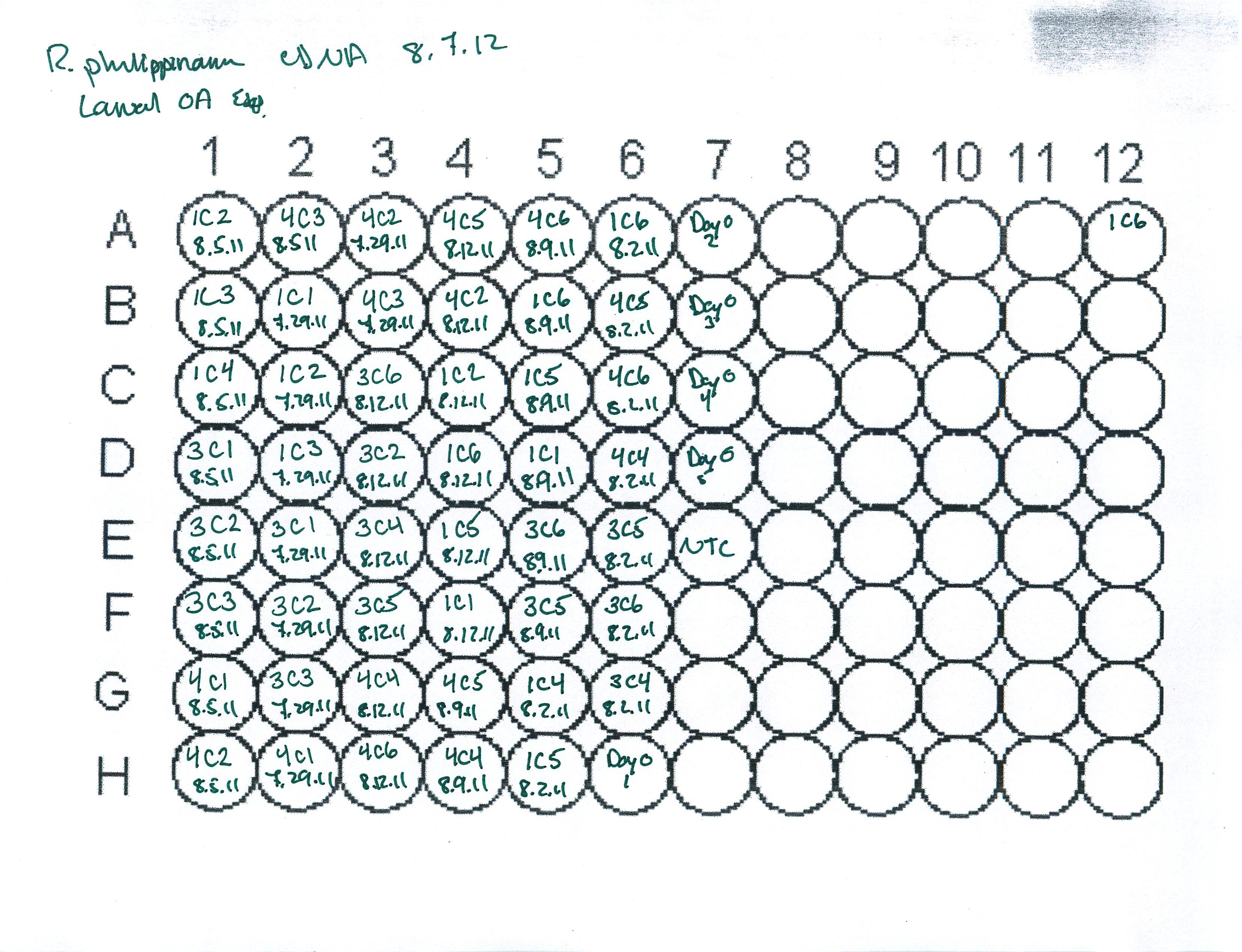 96-well-plate-layout-template